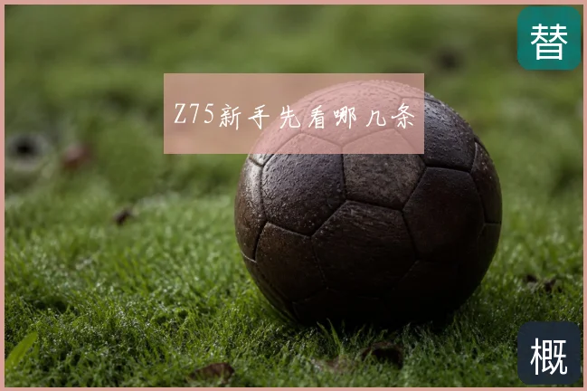 Z75新手先看哪几条