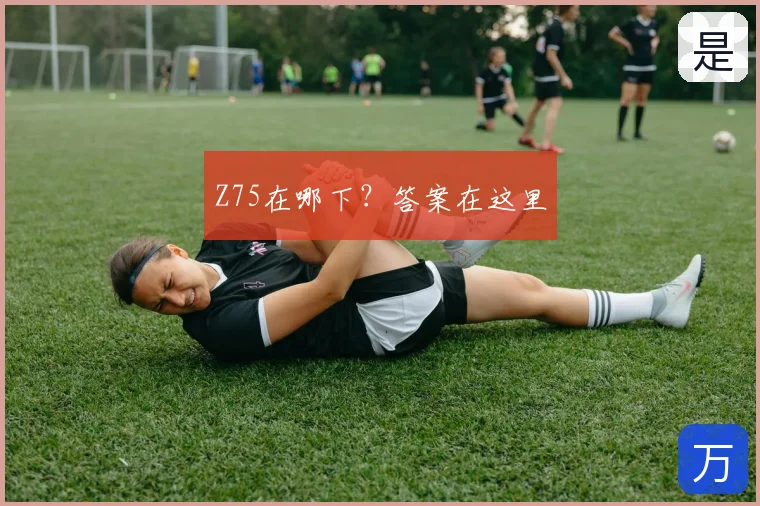 Z75在哪下？答案在这里