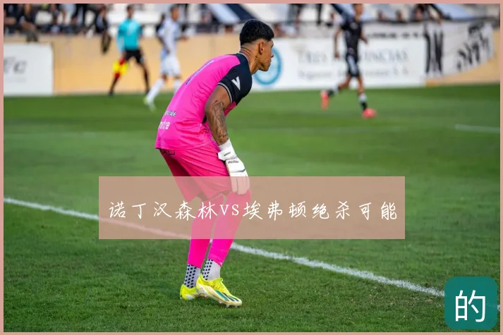 诺丁汉森林vs埃弗顿绝杀可能